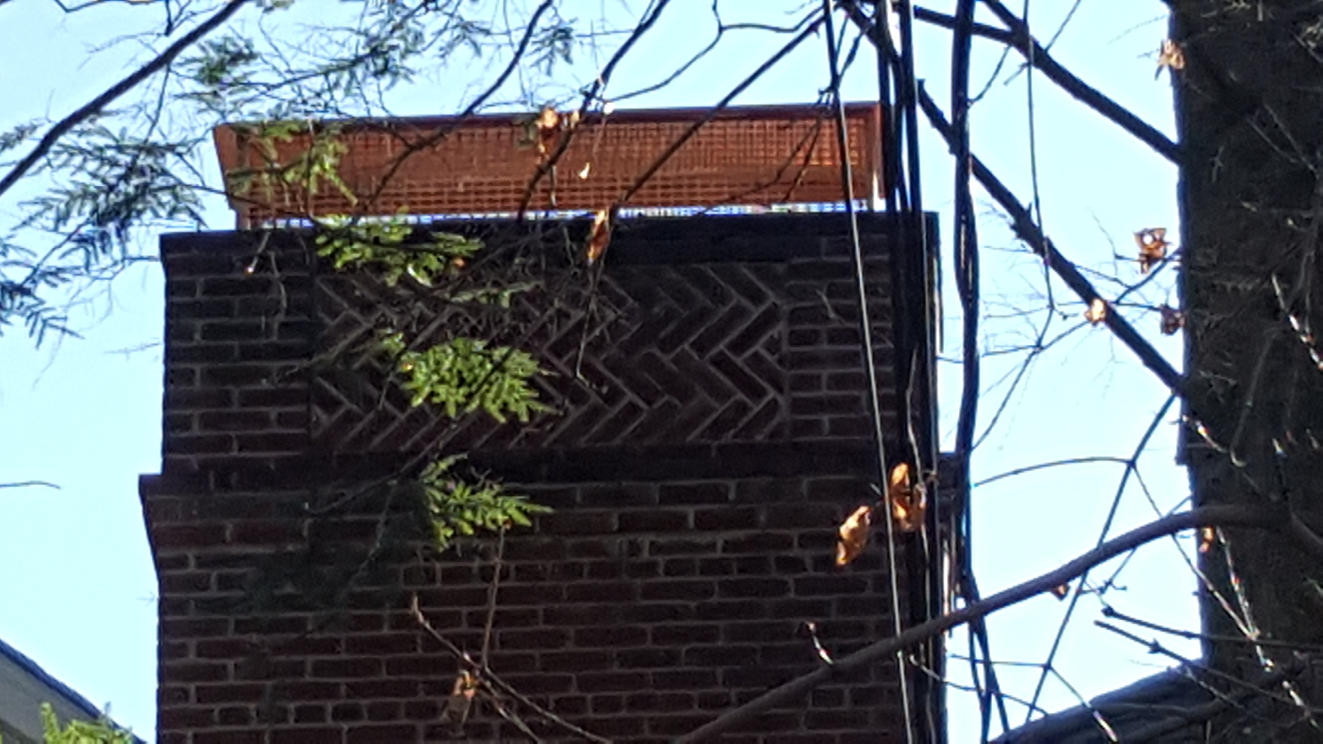 Animal-proof chimney cap protecting home in Bellmore, New York